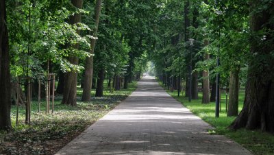 Park im. Książąt Sanguszków