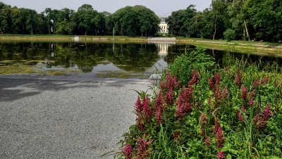 Park im. Książąt Sanguszków