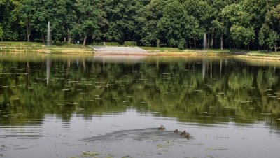 Park im. Książąt Sanguszków